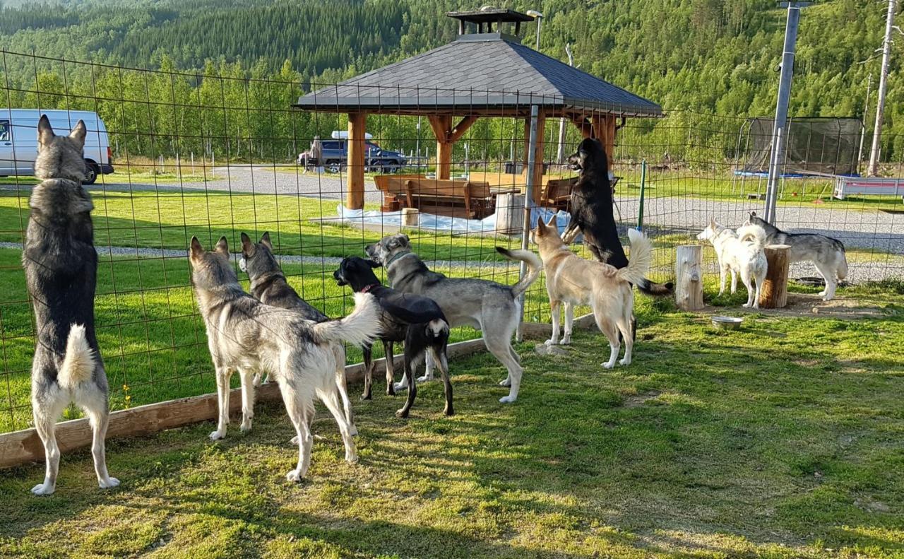 Вилла Visit Junkerdal Экстерьер фото